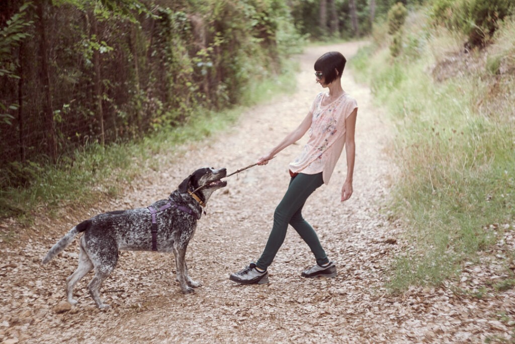 Gioco per il cane