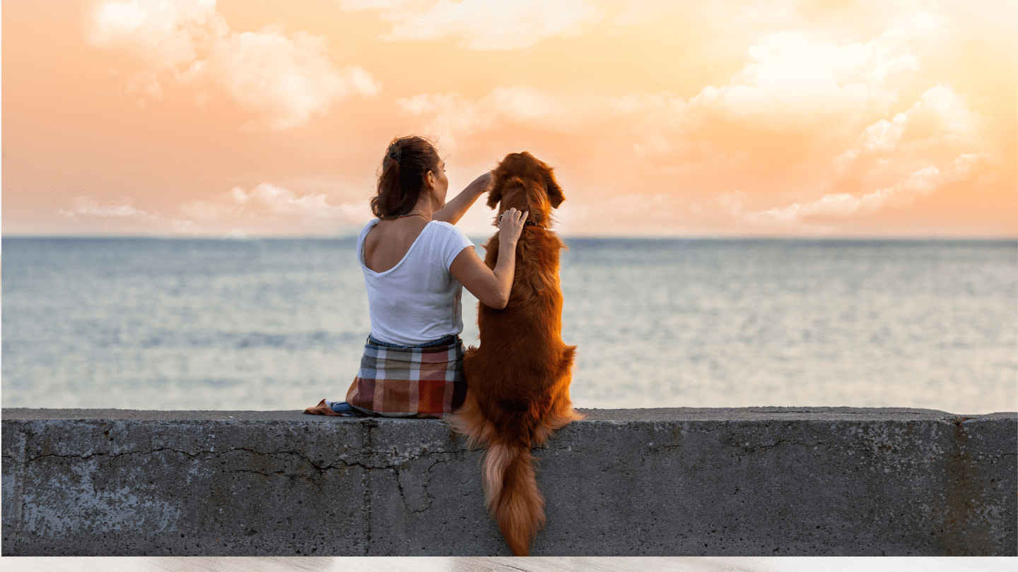 La ricerca: Cane e essere umano sono legati da un rapporto simile a quello genitore figlio.