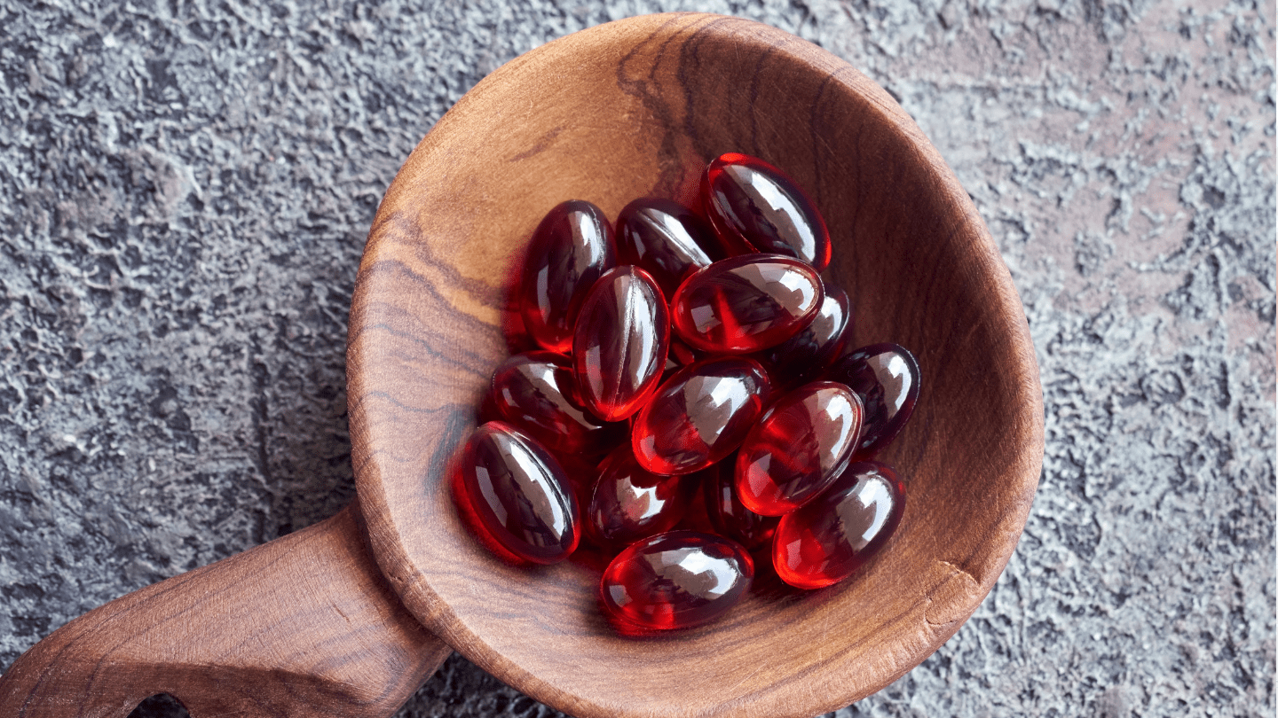 Omega-3: quali sono i più efficaci per i cani?