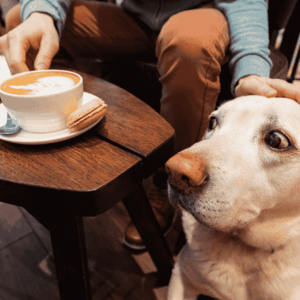 Caffรจ di Nutrizione - Nutravet Journal Club